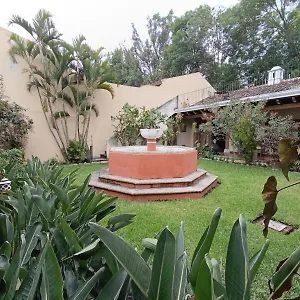 Donde Lico Antigua